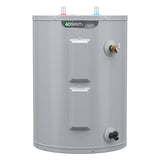 A.O. Smith  Signature 100 28-Gallon Lowboy 6-year Limited Warranty 4500-Watt Double Element Electric Water Heater