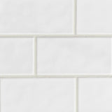 MAPEI Ultracolor Plus FA 1-lb White All-in-one Sanded Grout