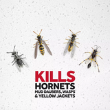 Raid Wasp & Hornet Killer, 17.5 oz